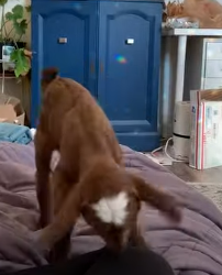 H1404009 Pleasure today… or purpose forever? (Part 2)