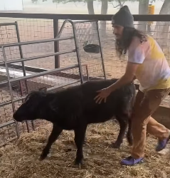 H1604001 You can afford it… but will you care? (Part 2)