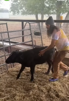 H1604001 You can afford it… but will you care? (Part 2)