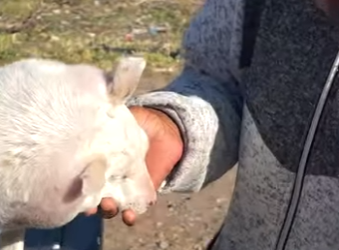 H1404010 Buy more… or care more? (Part 2)