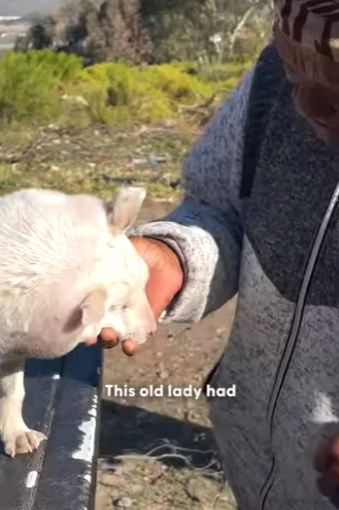 H1404010 Buy more… or care more? (Part 2)