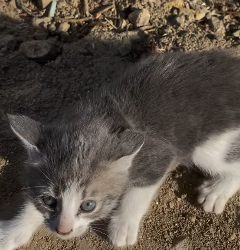 H1404011 Which matters more: living well or helping others live? (Part 2)