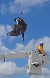 H1604002 You saw it… but did you act? (Part 2)