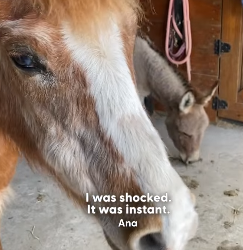 H1604003 You felt it… but did you help? (Part 2)