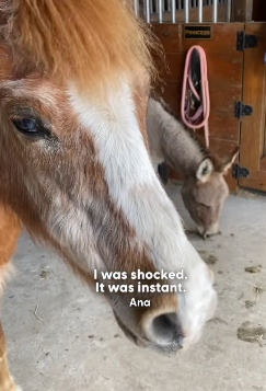 H1604003 You felt it… but did you help? (Part 2)