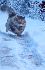 H1604004 You knew… but stayed silent? (Part 2)