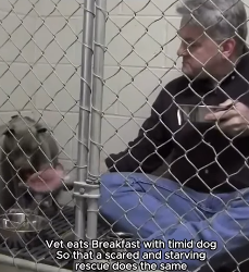 F1604001 Time wasted… or life saved? (Part 2)