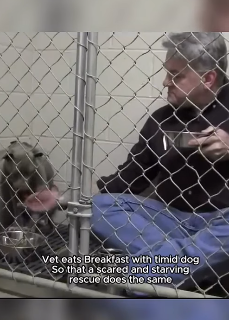 F1604001 Time wasted… or life saved? (Part 2)