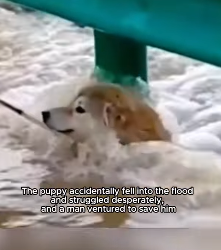 F1604002 More content… or more compassion? (Part 2)