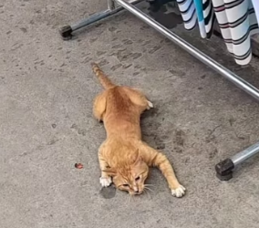 J1404010 In the end, what truly matters? (Part 2)