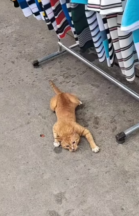 J1404010 In the end, what truly matters? (Part 2)