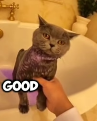 J1604001 A small step… or a huge impact? (Part 2)