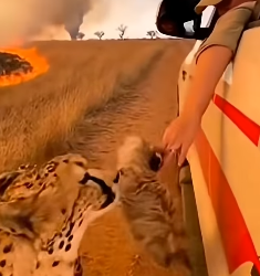 Z1404006 It’s not about money — it’s about heart (Part 2)