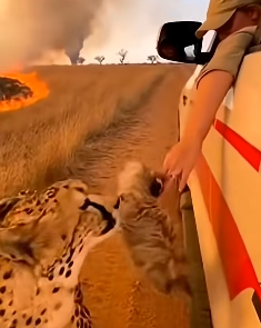 Z1404006 It’s not about money — it’s about heart (Part 2)