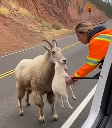 Z1604003 Self or others? (Part 2)