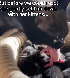 Q1604001 Money talks — what is it saying? (Part 2)