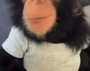 D0604003 Cute baby (Part 2)