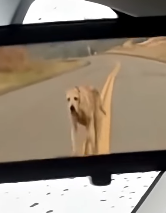 Q1604001 Money talks — what is it saying? (Part 2)