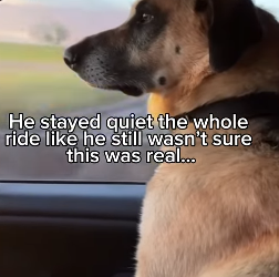 Q1604003 Hope lives… or hope dies? (Part 2)