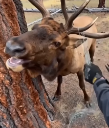 S1604003 Act today… or wish you had tomorrow? (Part 2)