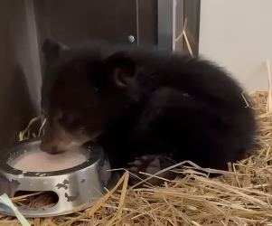 D1404011 Think later… or act now? (Part 2)