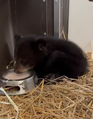 D1404011 Think later… or act now? (Part 2)