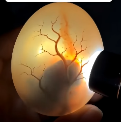 S1604006 Be the reason… or be the witness? (Part 2)