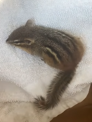 E1504004 Life or luxury? (Part 2)