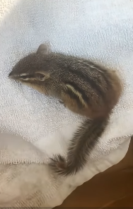 E1504004 Life or luxury? (Part 2)