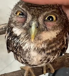 E1604004 They’re hurting… will you help? (Part 2)