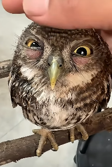 E1604004 They’re hurting… will you help? (Part 2)