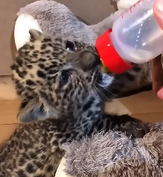 E1604005 They’re alone… will you care? (Part 2)