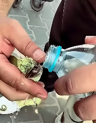 E1604006 They’re fighting… will you stand with them? (Part 2)