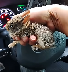 E1604007 They’re scared… will you protect them? (Part 2)