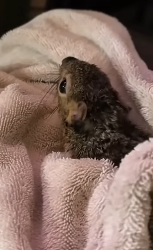 E1604009 They’re hoping… will you answer? (Part 2)