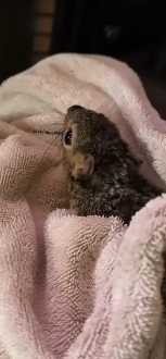 E1604009 They’re hoping… will you answer? (Part 2)