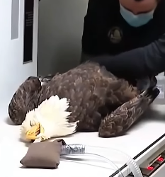 E1604010 They’re silent… will you listen? (Part 2)