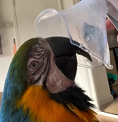 E1604011 They’re lost… will you find them? (Part 2)