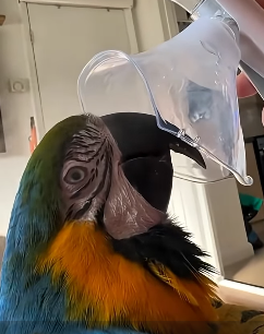 E1604011 They’re lost… will you find them? (Part 2)