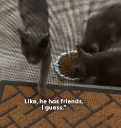 H1604011 Scroll more… or save more? (Part 2)