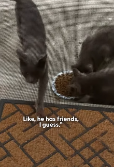 H1604011 Scroll more… or save more? (Part 2)