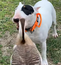 H1604012 Entertainment… or empathy? (Part 2)