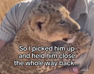 Q1604005 Love wins… or neglect wins? (Part 2)