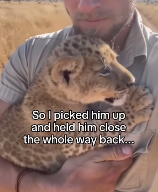 Q1604005 Love wins… or neglect wins? (Part 2)