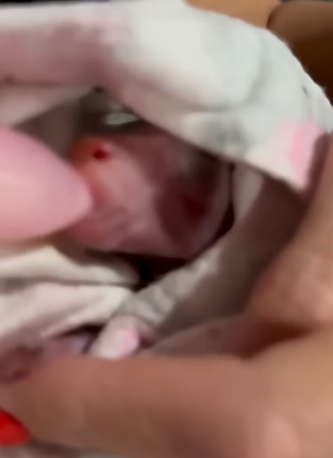 D1804004 Save one… or ignore many? (Part 2)