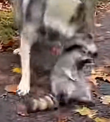 Z1804002 Act with purpose… or drift? (Part 2)