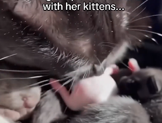 Q1804001 Your delay… or their loss? (Part 2)