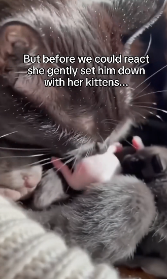 Q1804001 Your delay… or their loss? (Part 2)