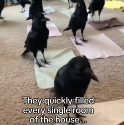 Q1604006 Life continues… or life ends? (Part 2)