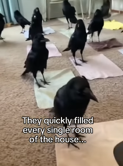 Q1604006 Life continues… or life ends? (Part 2)